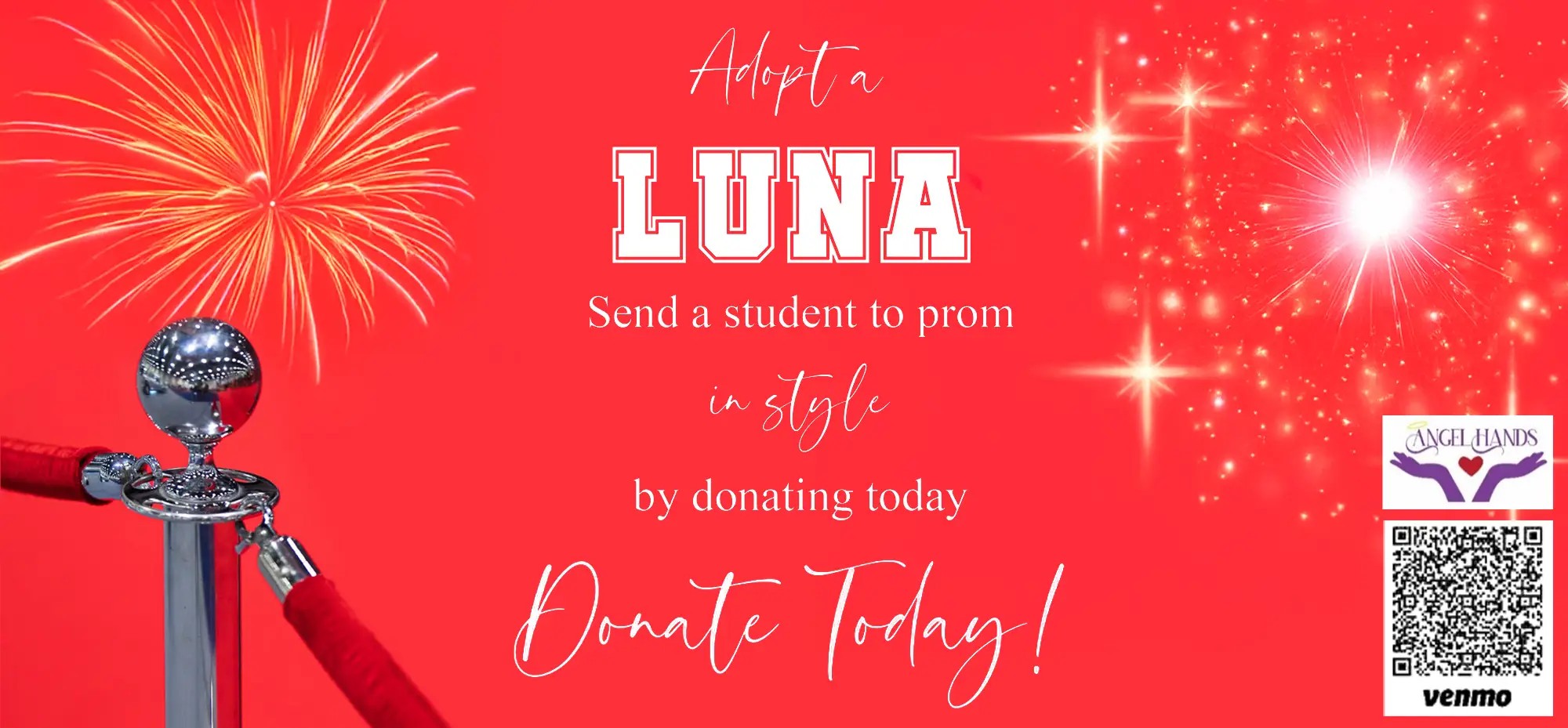 adopt a luna banner