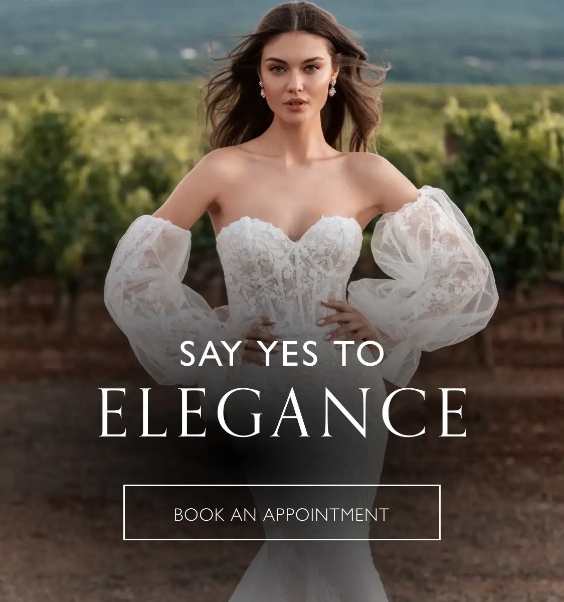 Say yes to Elegance at Elly's Formalwear Mobile